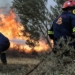Δασικές πυρκαγιές: Ρεκόρ καμένων εκτάσεων φέτος στην Ευρώπη