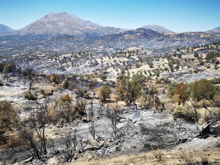 ΔΤ - Συνεχίζεται η στήριξη στους πληγέντες των πυρόπληκτων περιοχών του Δήμου Αμαρίου