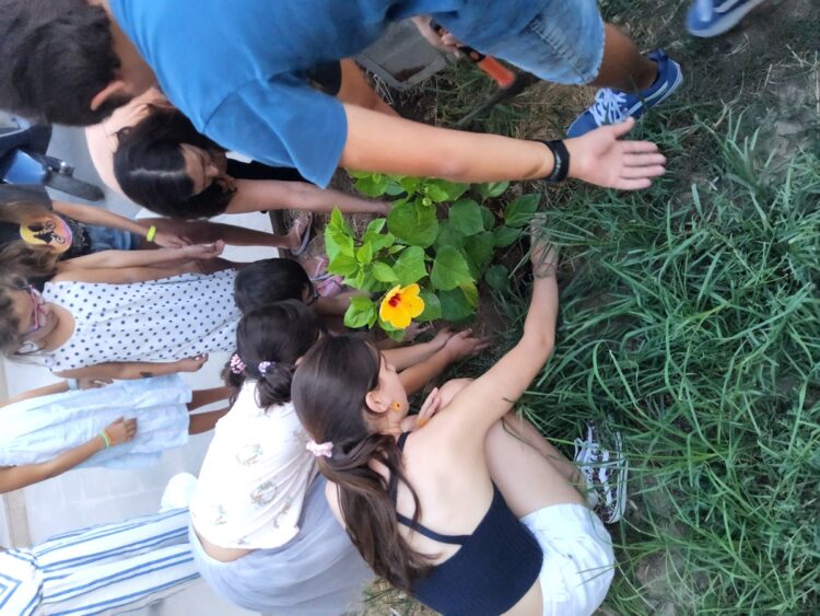 ΔΗΜΟΣΙΑ  ΚΕΝΤΡΙΚΗ  ΒΙΒΛΙΟΘΗΚΗ  ΡΕΘΥΜΝΟΥ