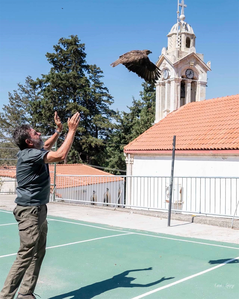 ΑΠΕΛΕΥΘΕΡΩΣΗ ΠΟΥΛΙΩΝ