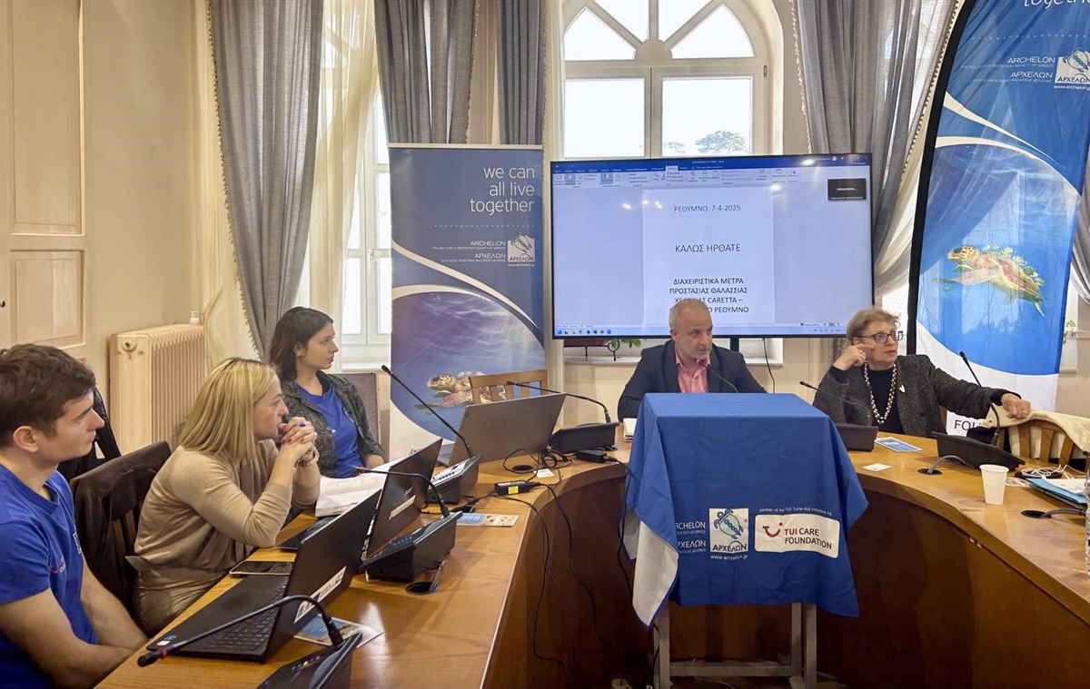 ΚΑΡΕΤΤΑ - ΚΑΡΕΤΤΑ