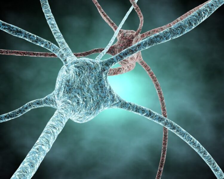5157601427474710 neurones-768x614