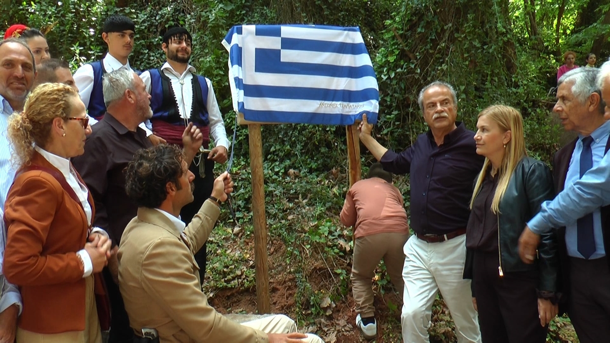 ΑΛΣΟΣ ΠΛΑΤΑΝΙΑ
