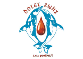 5187845476964166 Untitled Project