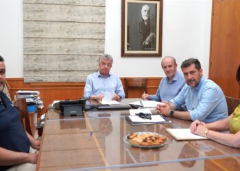 ΠΑΧΕΙΑ ΑΜΜΟΣ