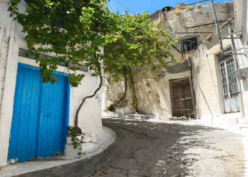 5334776862179806 Screenshot 2025-11-27 121355