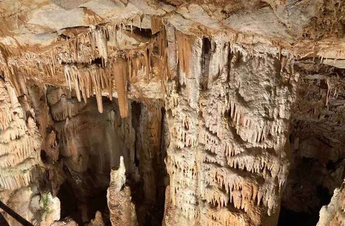 Τα Ζωνιανά όπως τα έζησα