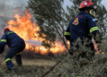 5576762488263823 fire4444-1-1-1